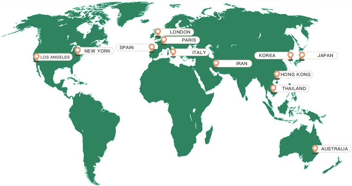 Lomei Cosmetics a tant de marques coopératives dans le monde